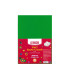 Fetru, 20x30cm, 180g/m2, verde, 10 foi, MAXI